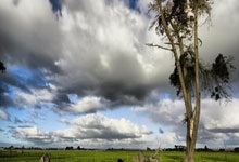 名记：萨卡可能入选对阵富勒姆大名单，踢皇马将可以回归.